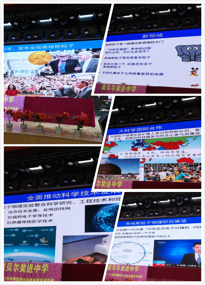 网站图片6